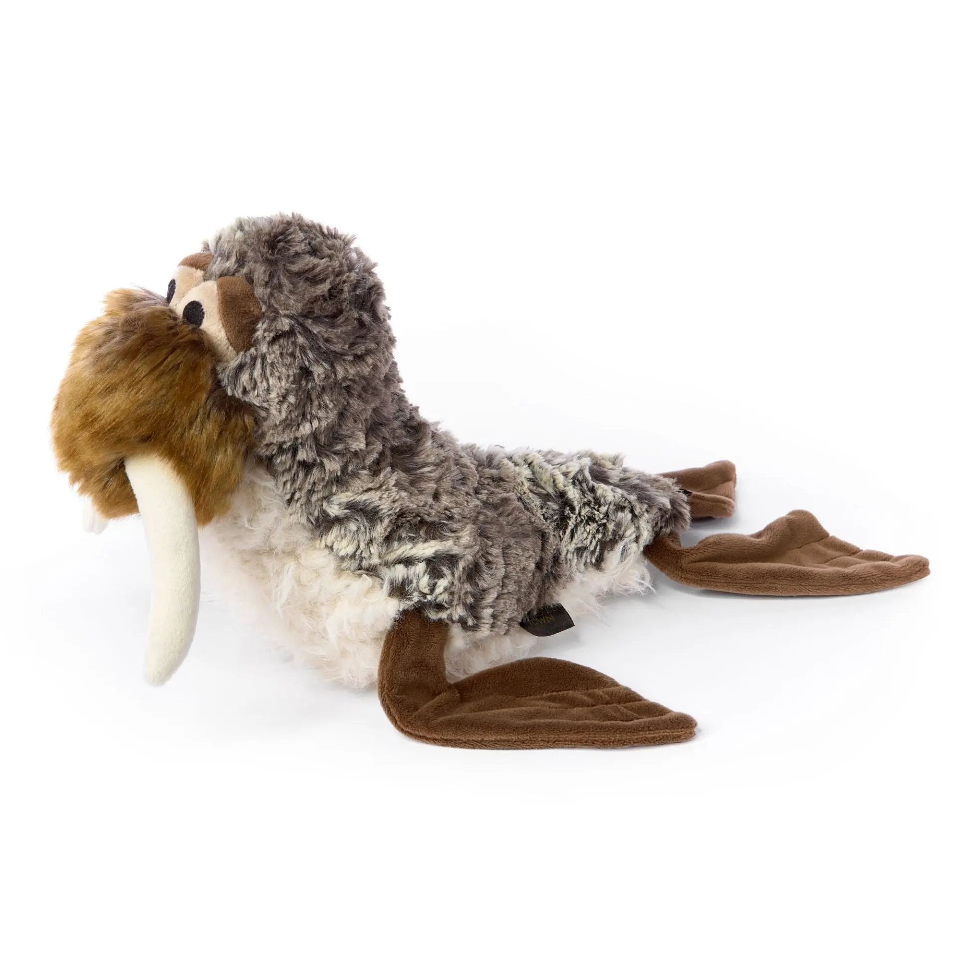 San Francis – sigikid