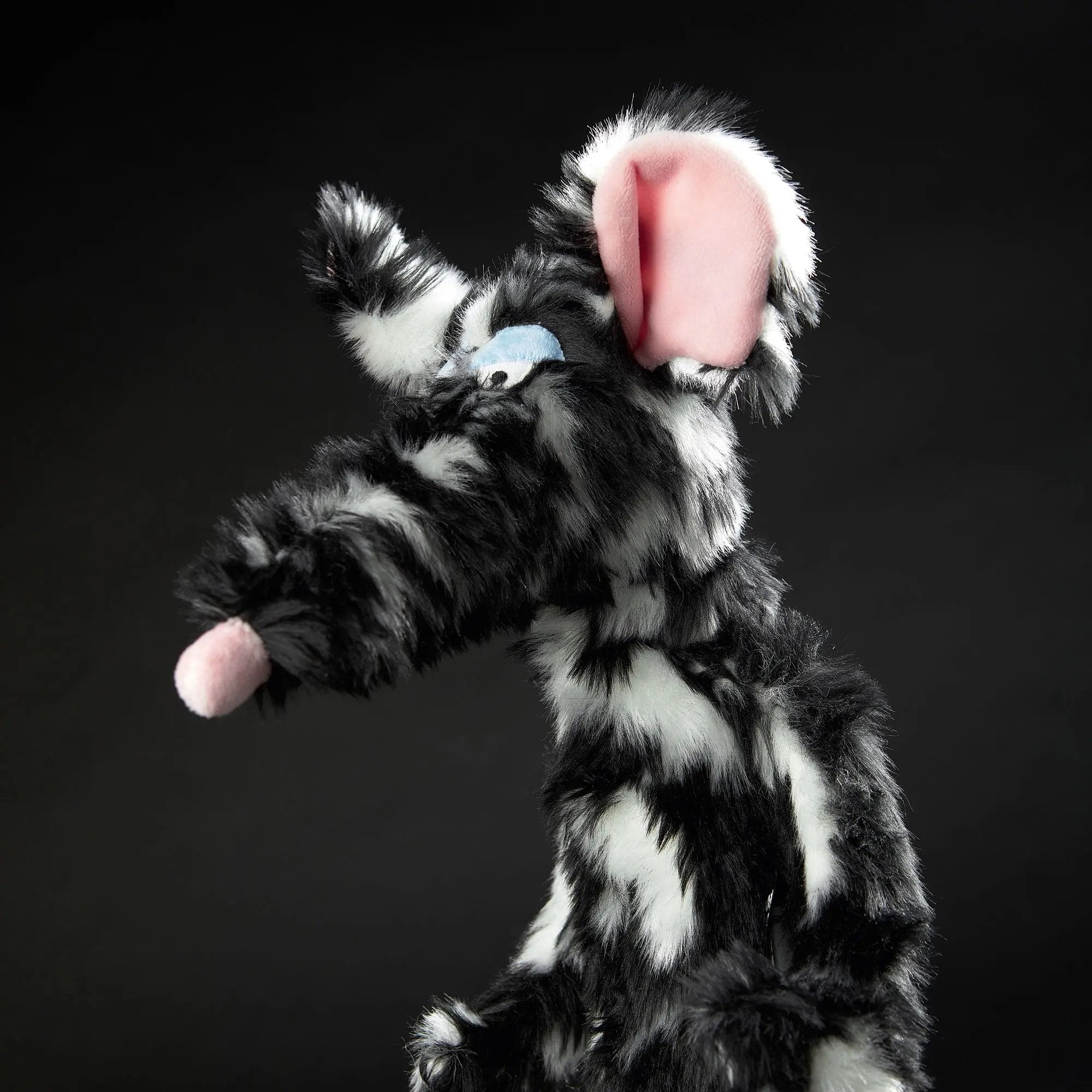 Schiggi Miggi - sigikid