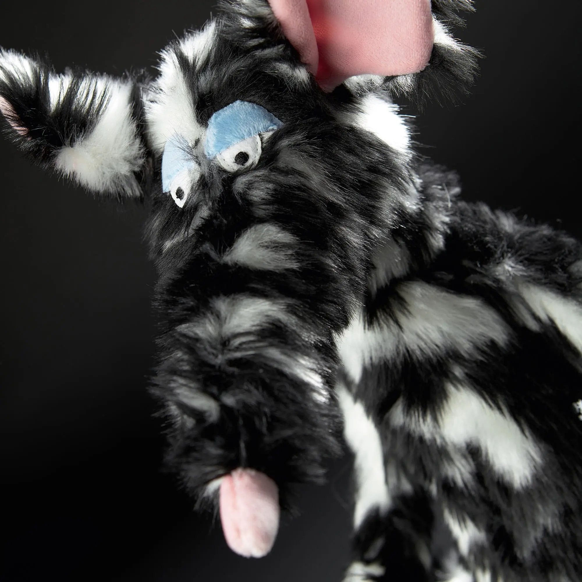 Schiggi Miggi - sigikid