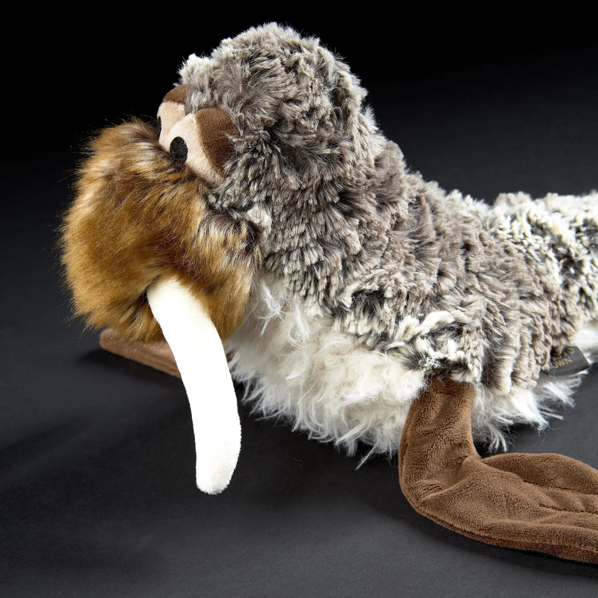 San Francis - sigikid