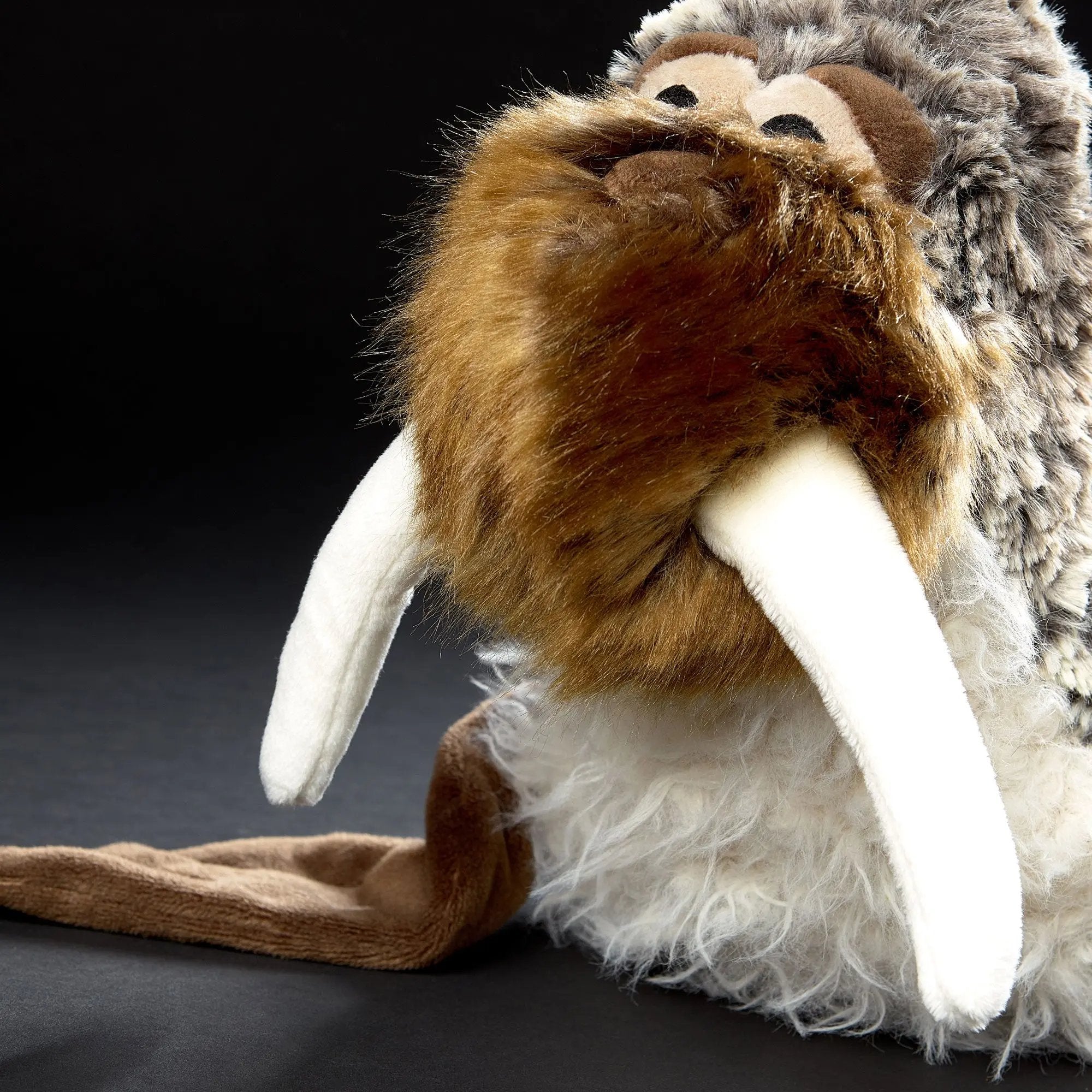 San Francis - sigikid