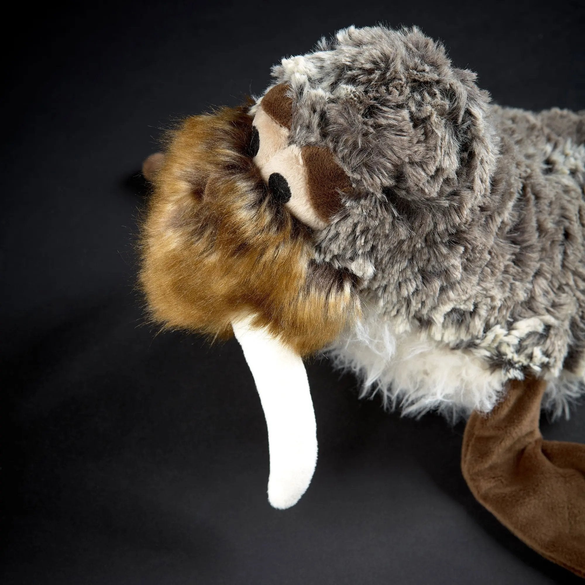 San Francis - sigikid