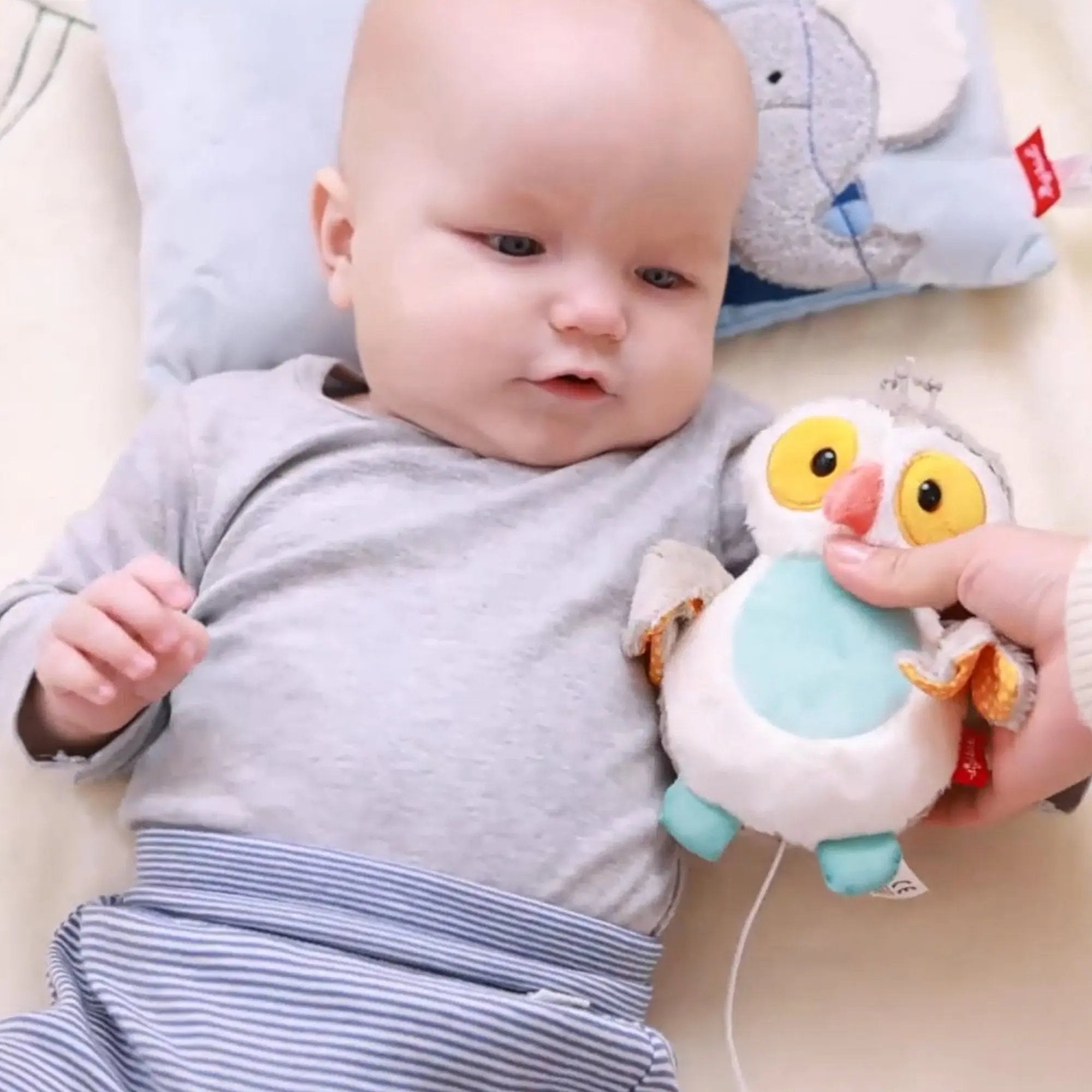 Mini Owl Musical Toy - sigikid