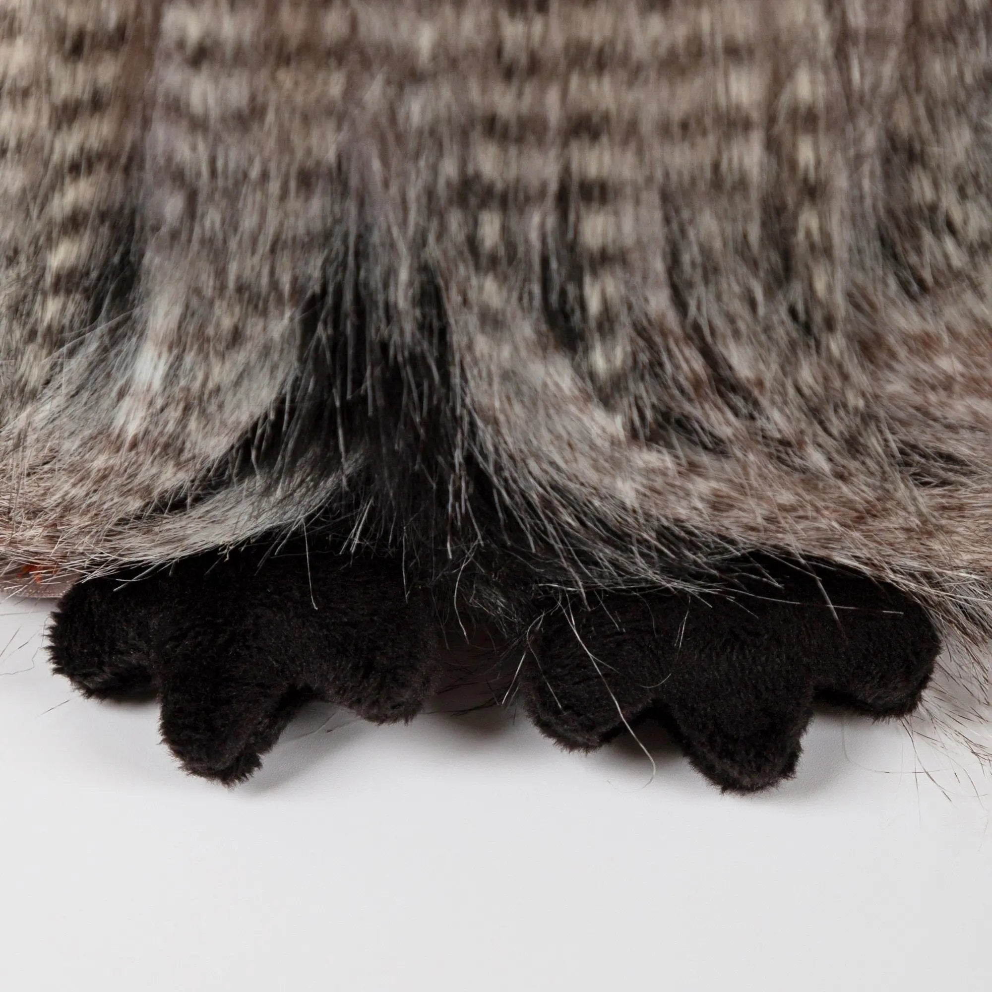 Miss Night Owl - sigikid