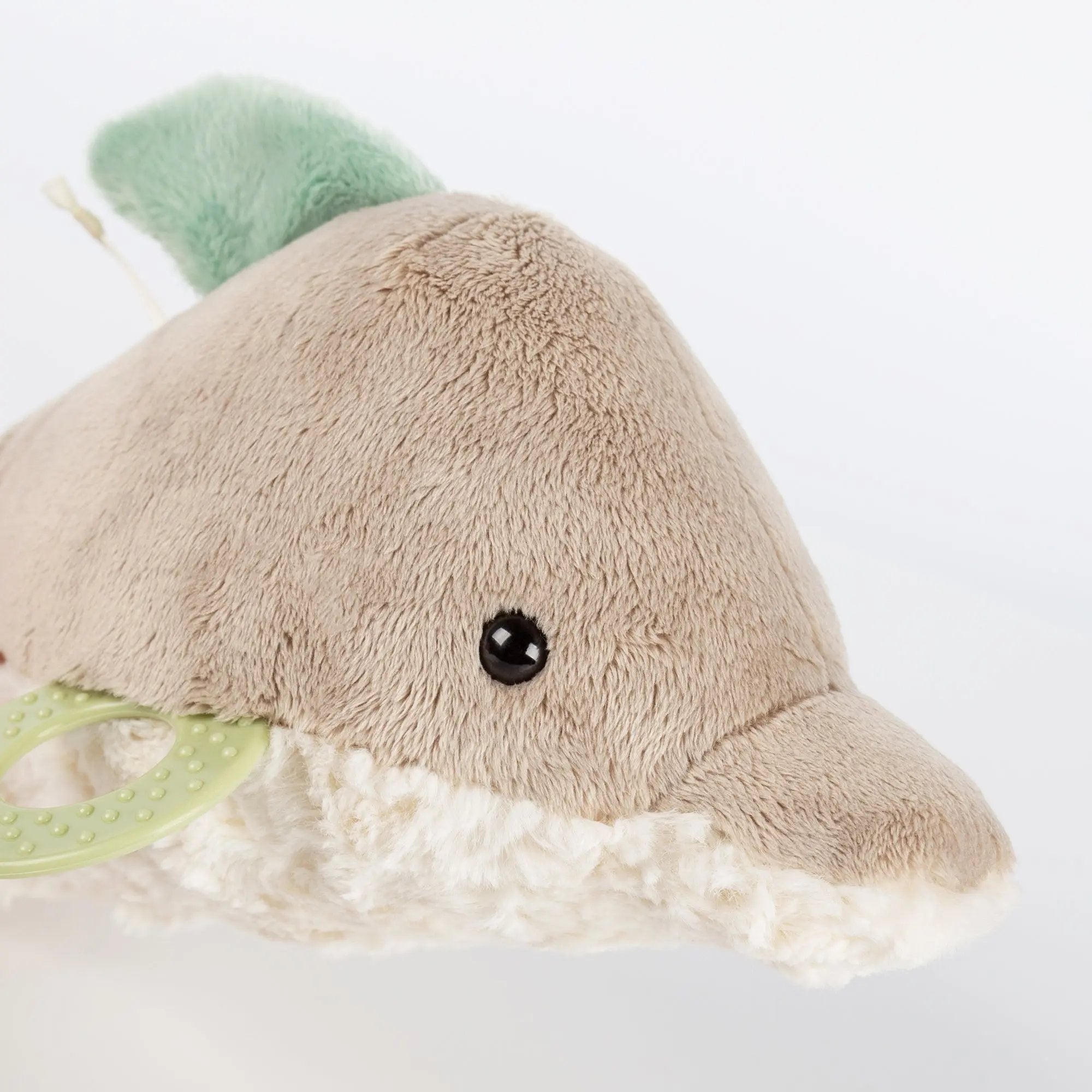 Dolphin Activity Toy - sigikid