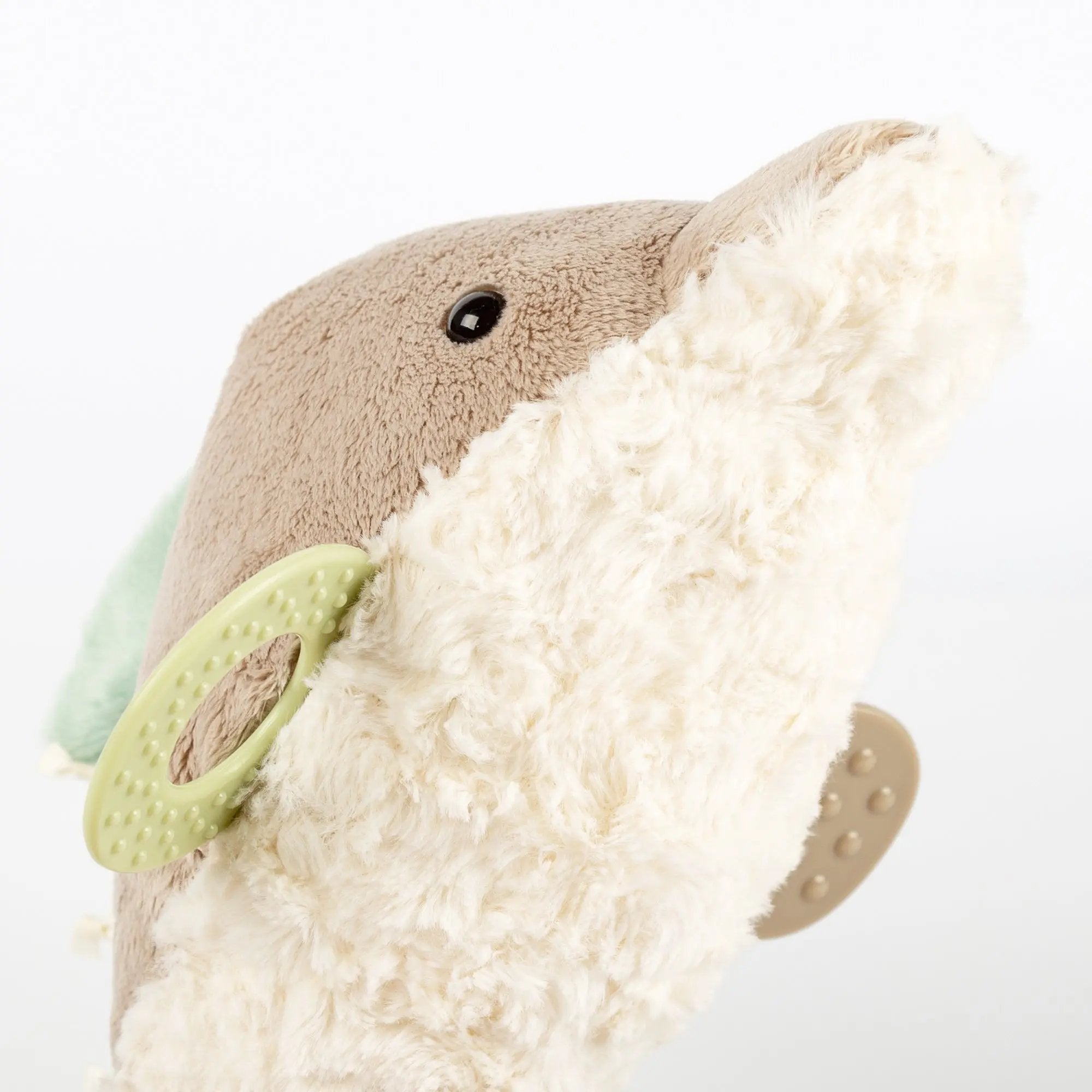 Dolphin Activity Toy - sigikid