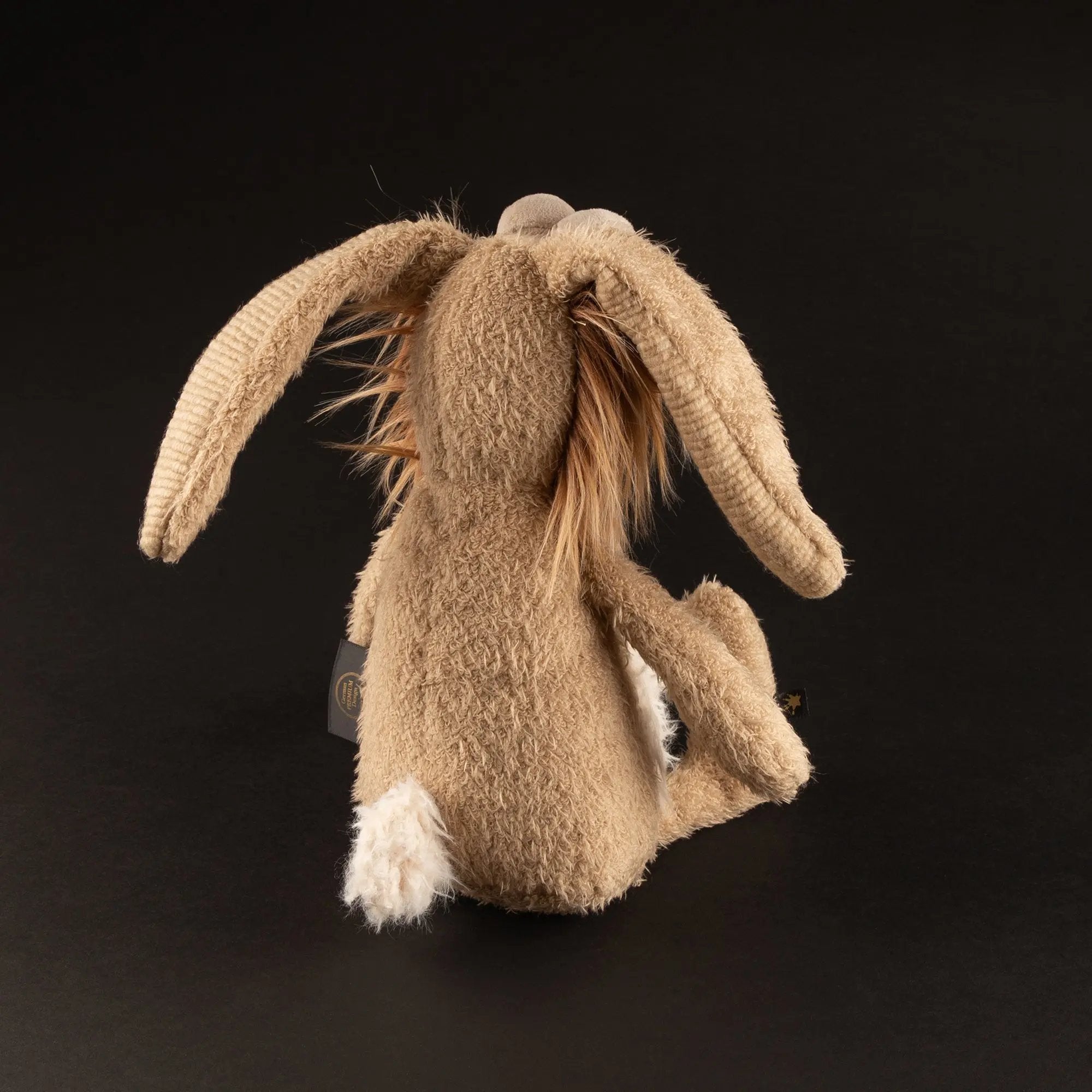 Besser Wisser - sigikid