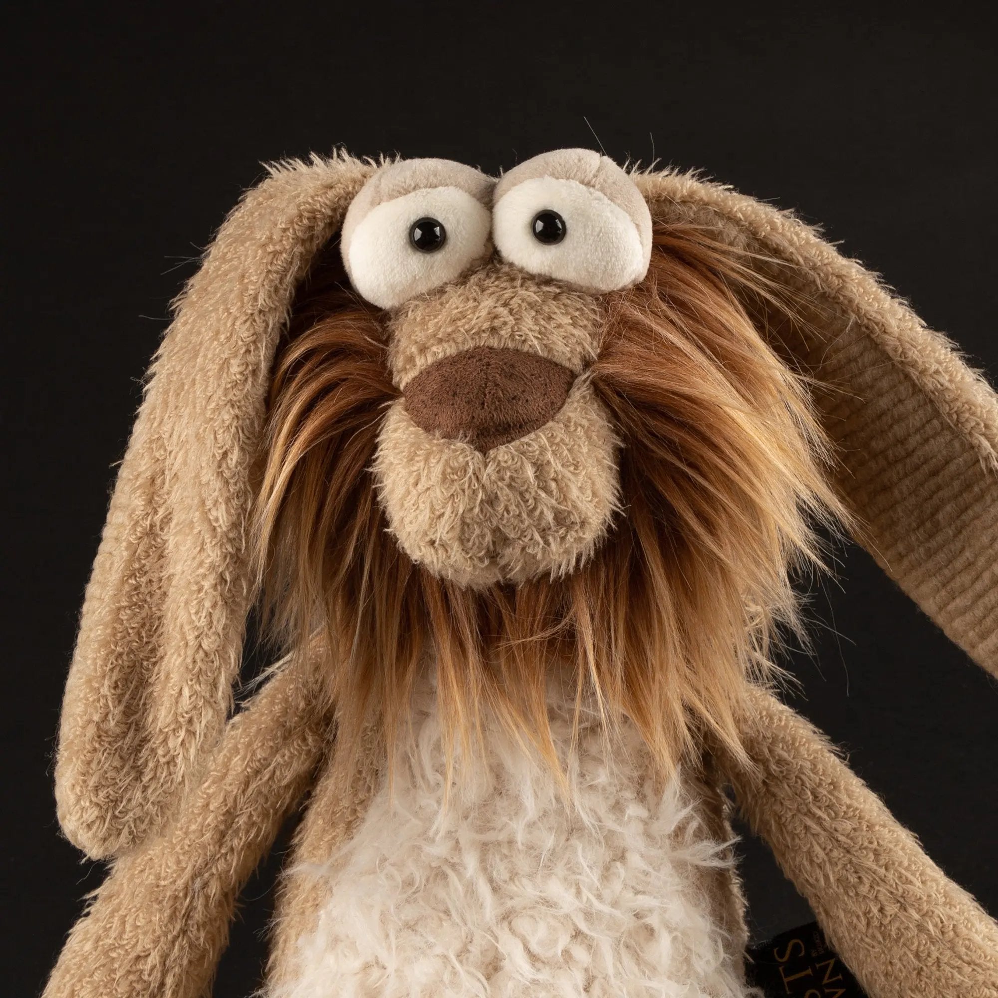 Besser Wisser - sigikid