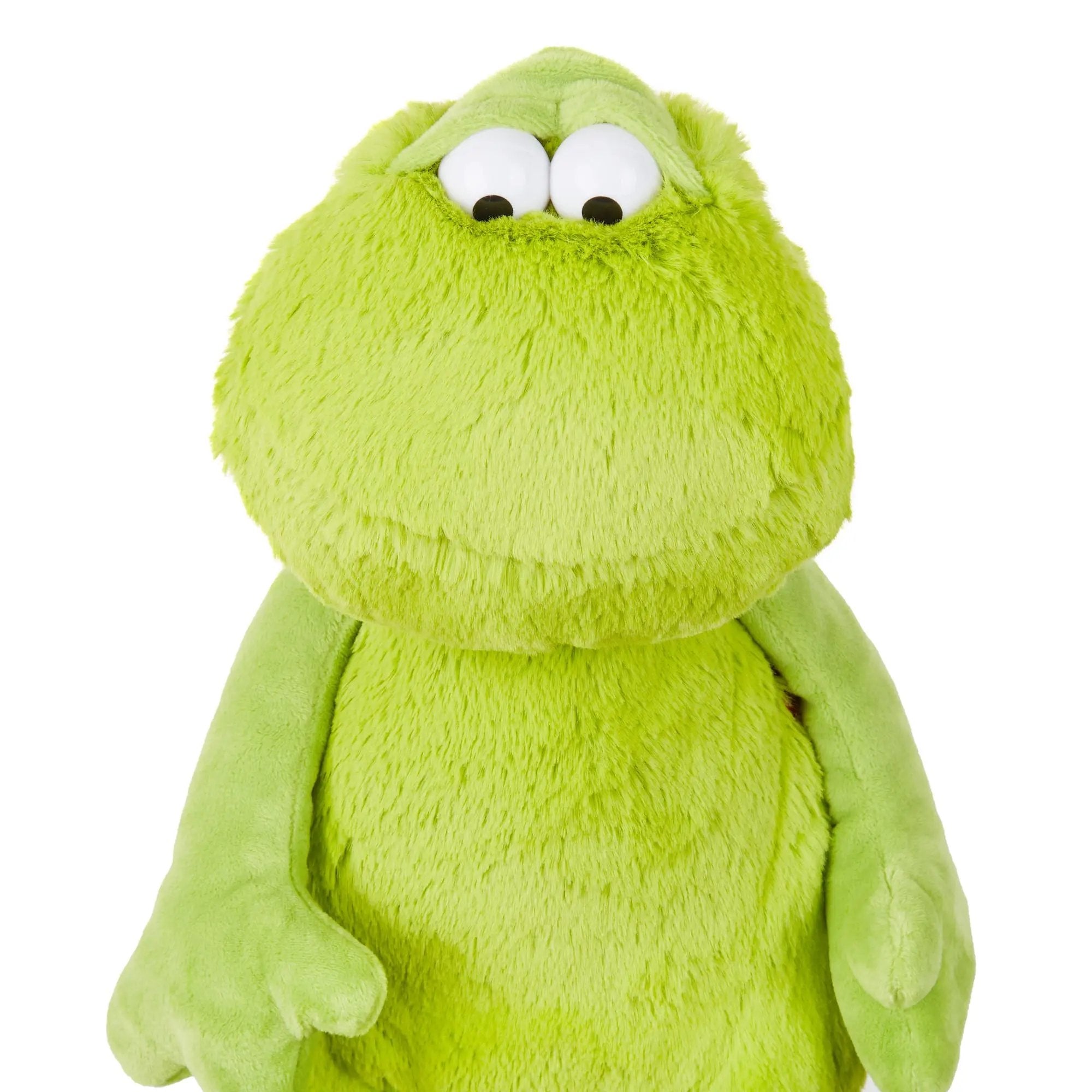 MOOD PET Frog - sigikid