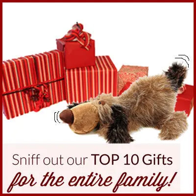 Top-Ten-Gifts sigikid