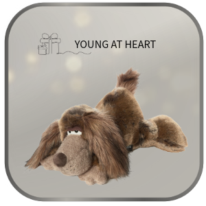 FOR-THE-YOUNG-AT-HEART sigikid