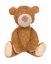 Organic Bear Cuddle Toy