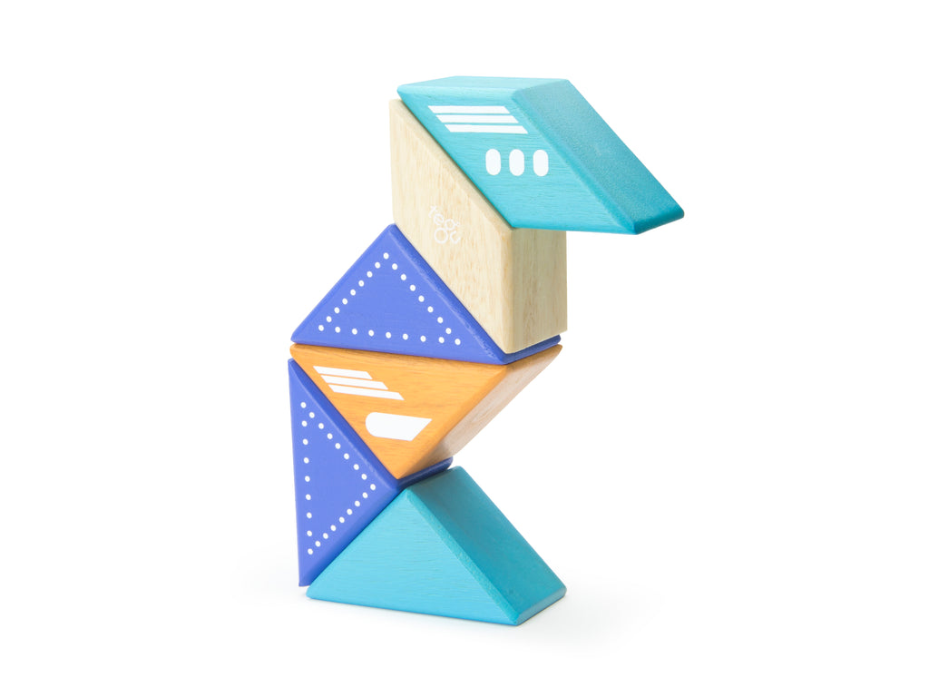 Tegu plane shop